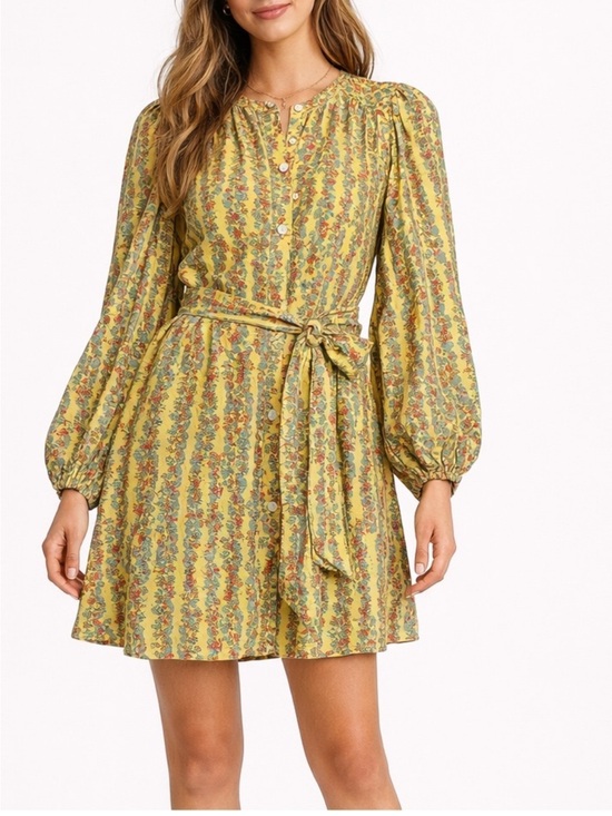 Roller Rabbit Dresses & Skirts - Roller Rabbit Rhody Stripe Evita Dress